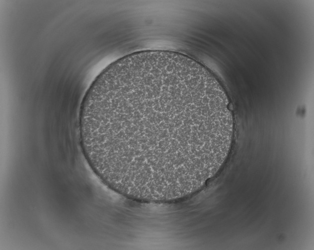 X0000111851087200909031721