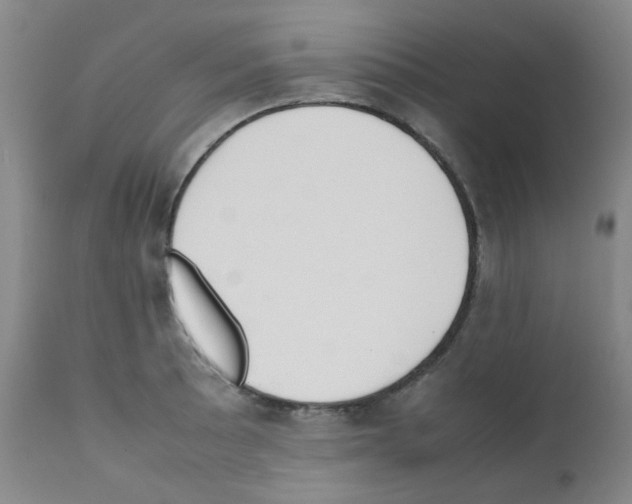 X0000111851089200909031721