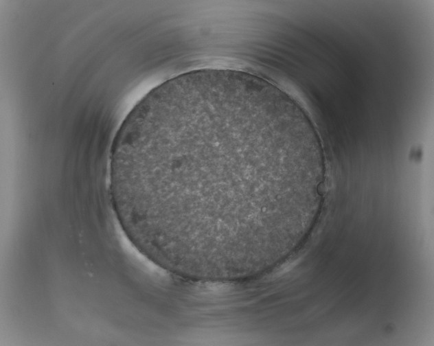 X0000111851095200909031721