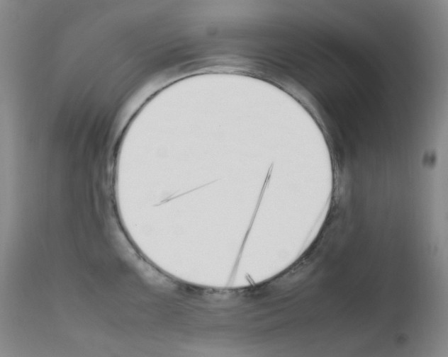 X0000111851099200909031721