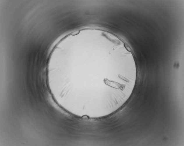 X0000111851100200909031721