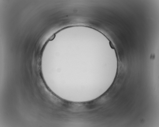 X0000111851101200909031721