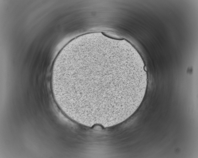 X0000111851102200909031721