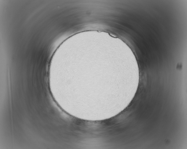 X0000111851103200909031721