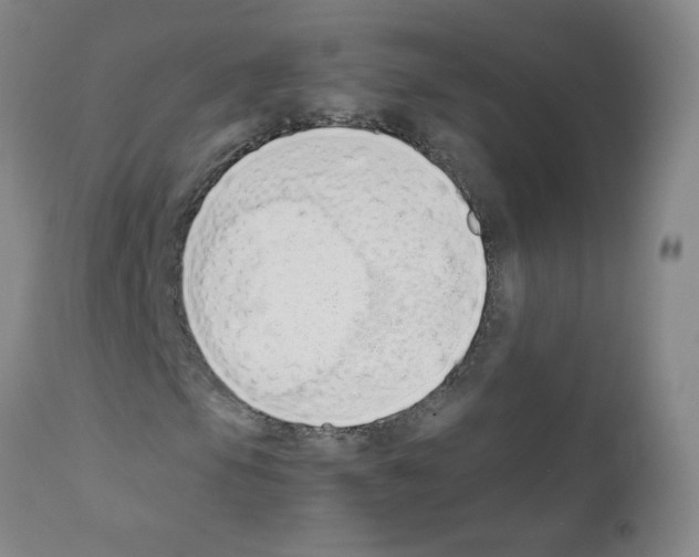 X0000111851105200909031720