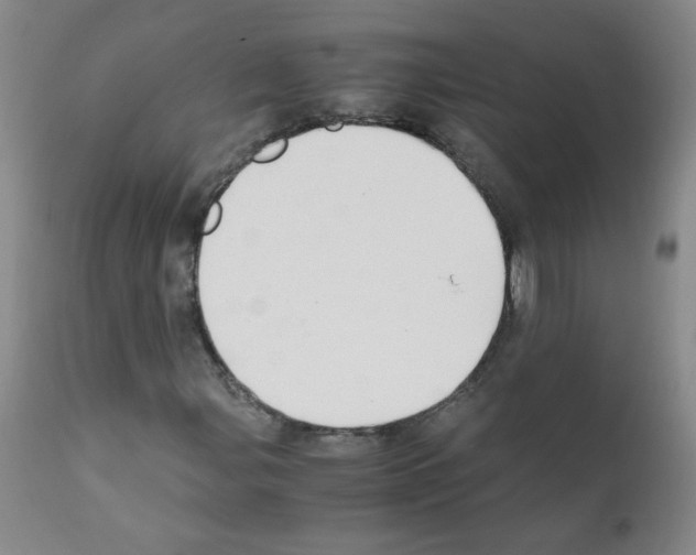 X0000111851107200909031720