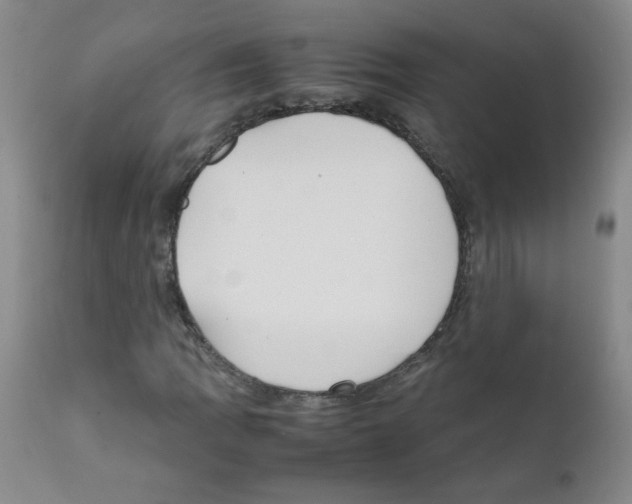 X0000111851109200909031720