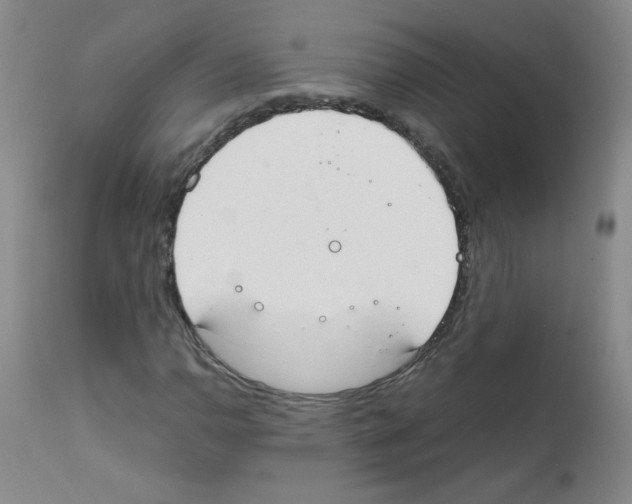 X0000111851110200909031720