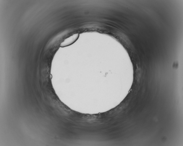 X0000111851111200909031720