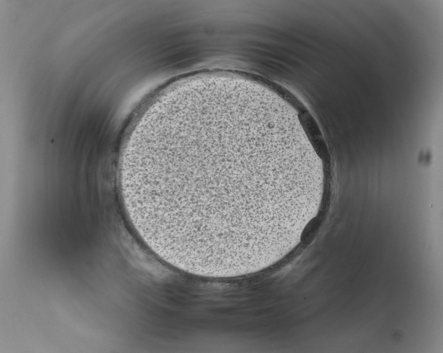 X0000111851115200909031720