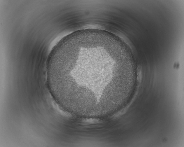 X0000111851117200909031720