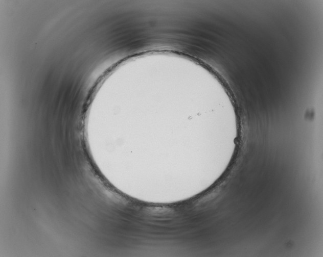 X0000111851119200909031720