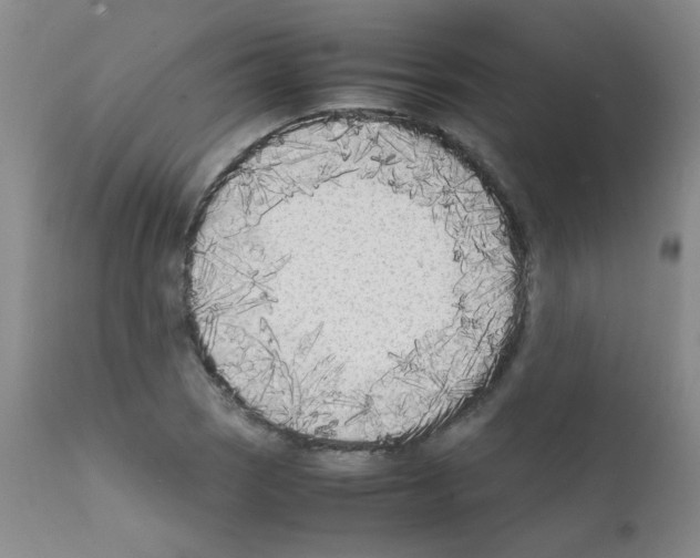 X0000111851121200909031721