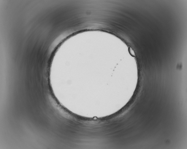 X0000111851122200909031721