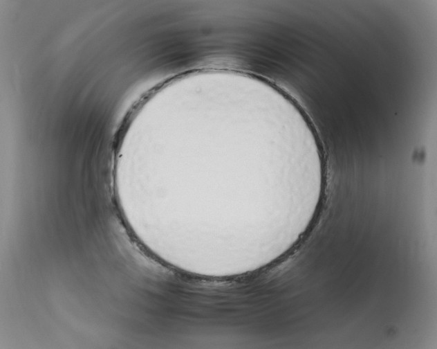 X0000111851123200909031721