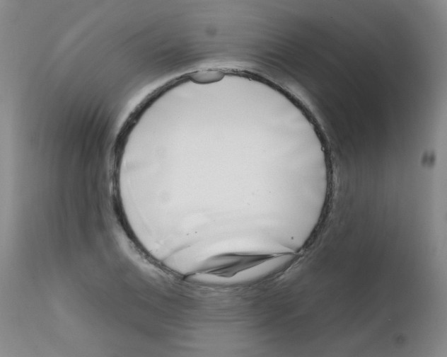 X0000111851124200909031721