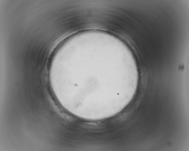 X0000111851125200909031721