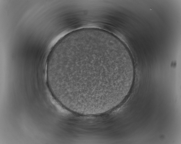 X0000111851127200909031721