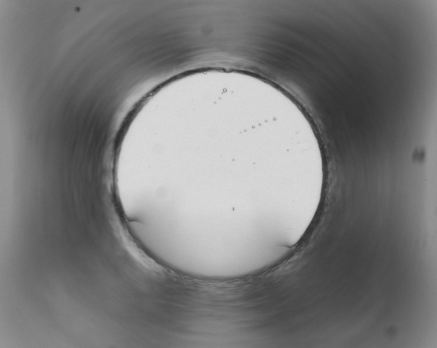 X0000111851128200909031721