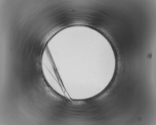 X0000111851129200909031721