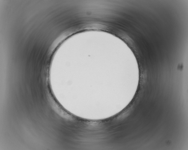X0000111851130200909031721