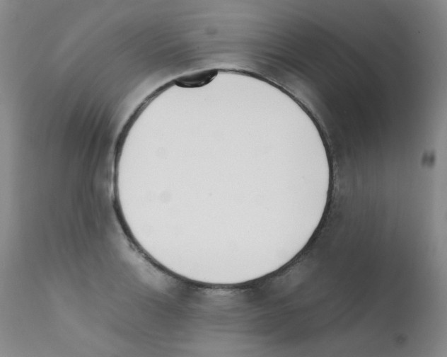 X0000111851132200909031721