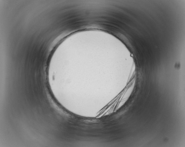 X0000111851133200909031721