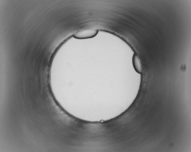 X0000111851134200909031721