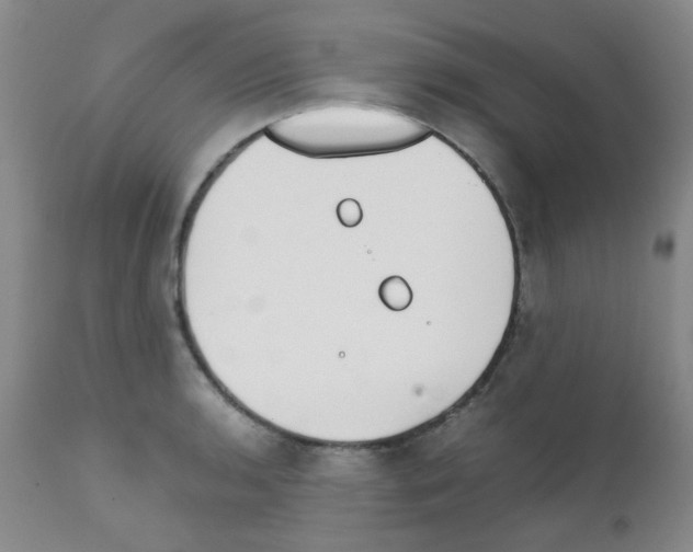 X0000111851136200909031721