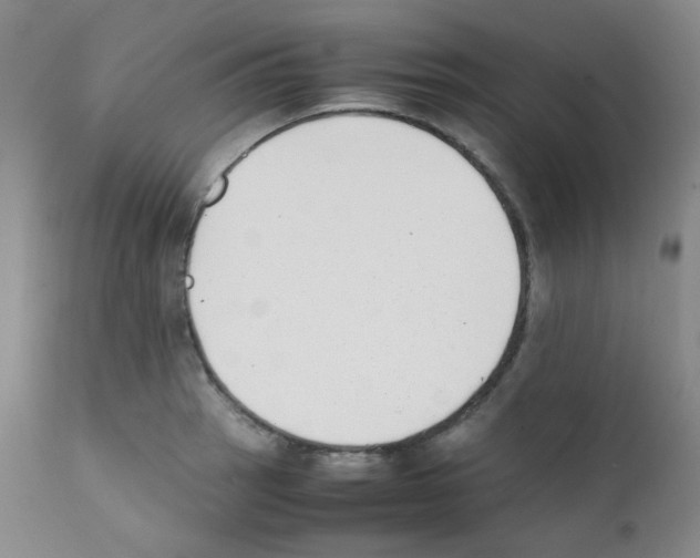 X0000111851137200909031721