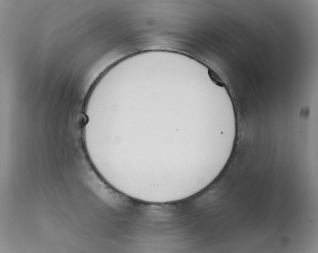 X0000111851138200909031721