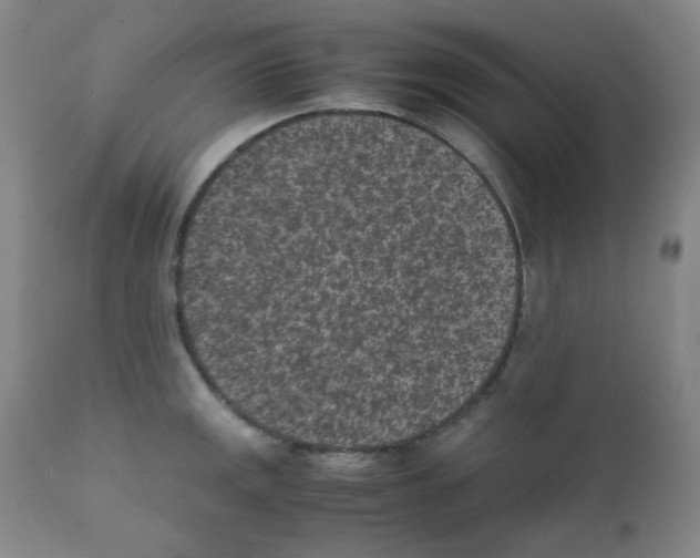 X0000111851141200909031721
