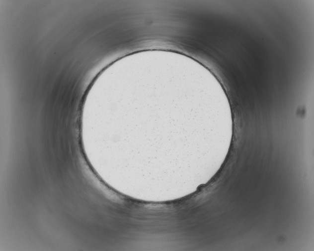 X0000111851142200909031721