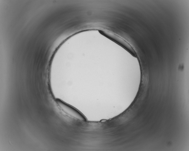 X0000111851144200909031721