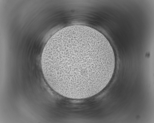 X0000111851145200909031721