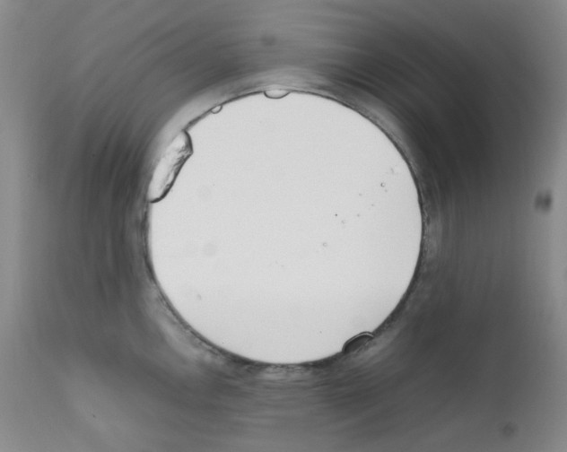 X0000111851146200909031721