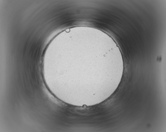 X0000111851147200909031721