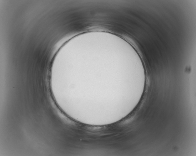 X0000111851149200909031721