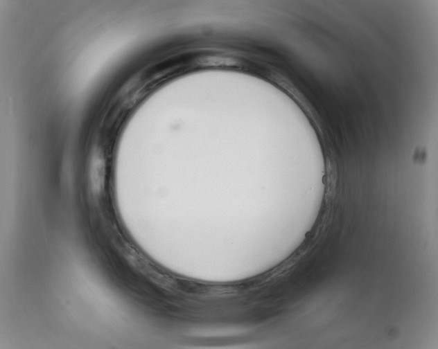 X0000111851151200909031721