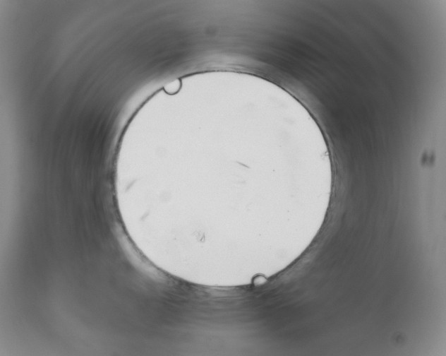 X0000111851152200909031721