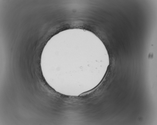 X0000111851153200909031720
