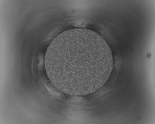 X0000111851154200909031720