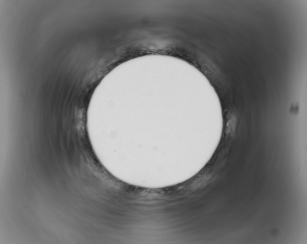 X0000111851156200909031720
