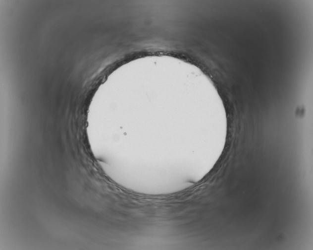 X0000111851157200909031720