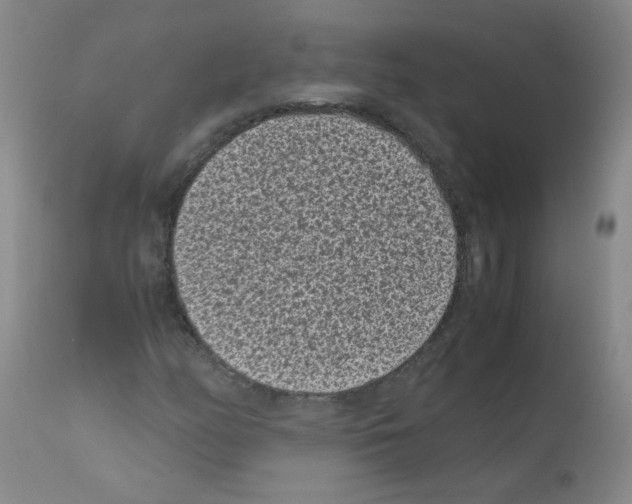 X0000111851158200909031720