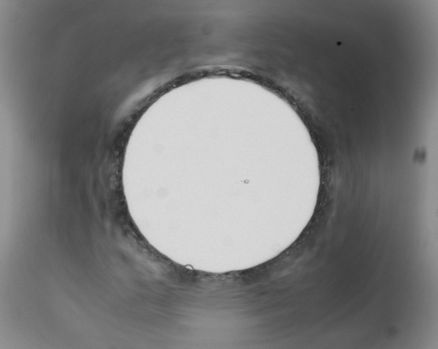 X0000111851159200909031720
