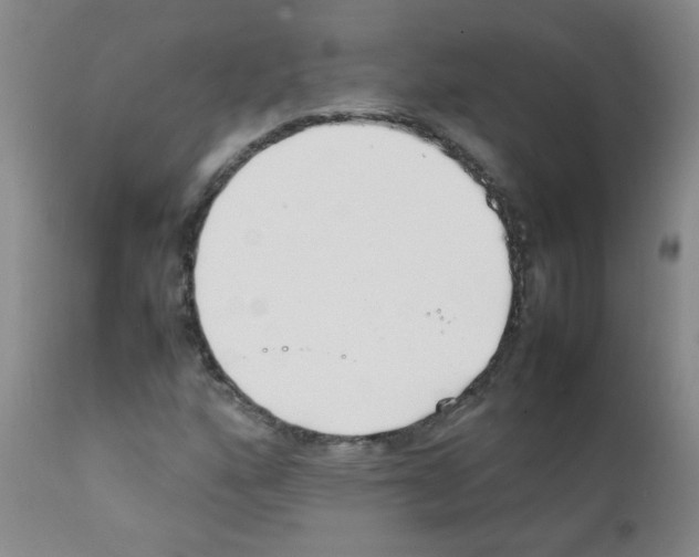X0000111851160200909031720