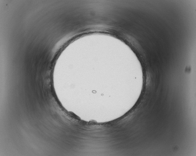 X0000111851164200909031720