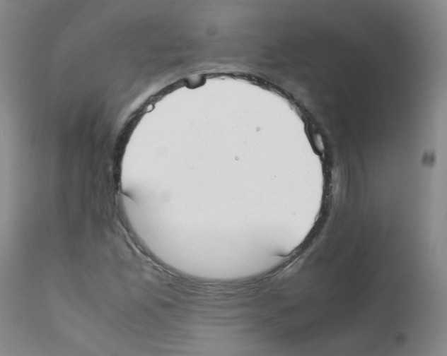 X0000111851165200909031720
