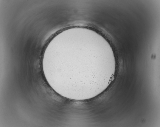 X0000111851166200909031720